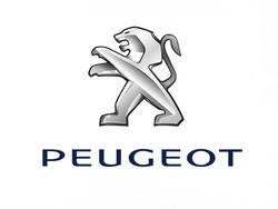 Tipske gumijaste preproge za Peugeot